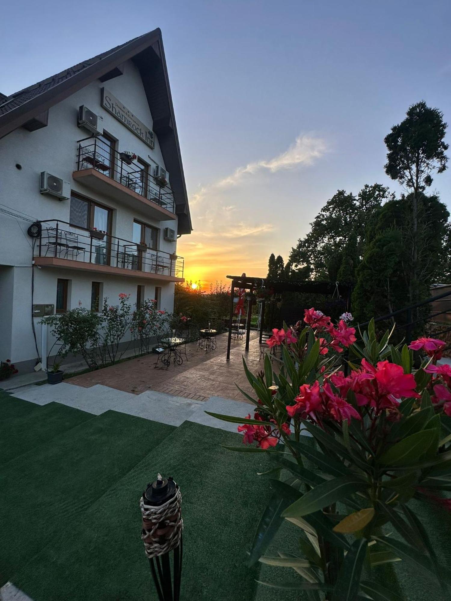 Shamrock Inn ヤシ エクステリア 写真