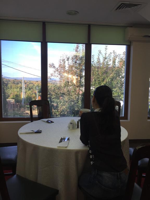 Shamrock Inn ヤシ エクステリア 写真